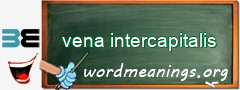 WordMeaning blackboard for vena intercapitalis